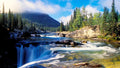 nature1