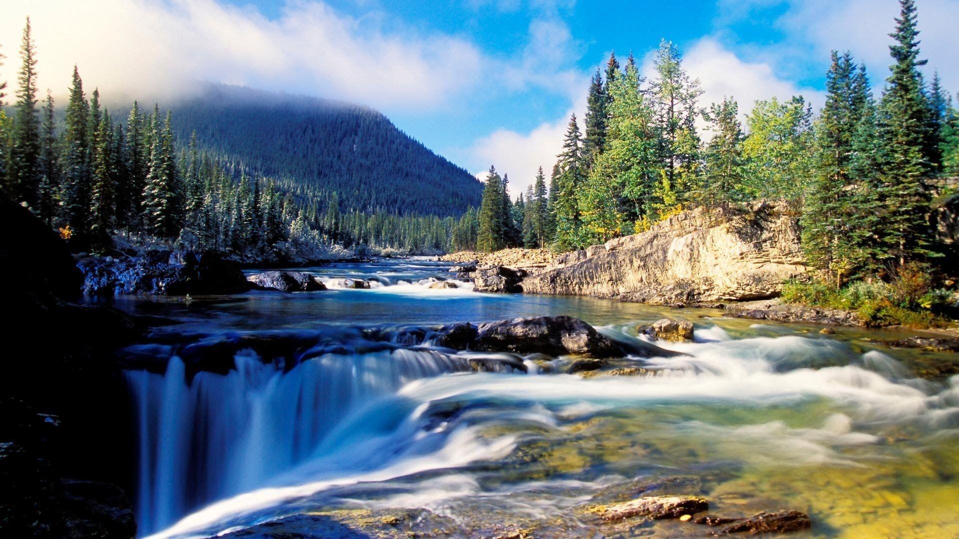 nature1